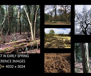 References: Spring Forest (England)