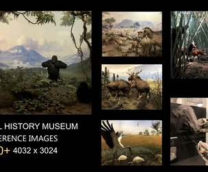 References: Museum Exhibit (New York)