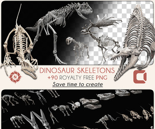 Dinosaur Skeletons - PNG Photo Pack