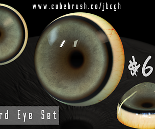 Leopard Eye 3D Asset