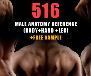 516 Male Anatomy Reference Images(Body _Hand_Leg)