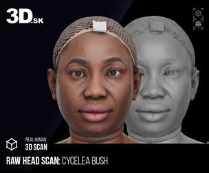 Female Head 3D Model | Cycelea Bush