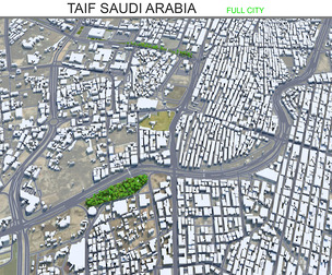 Taif city Saudi Arabia 3d model 50km