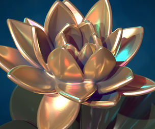 Water Lily Lotus flower