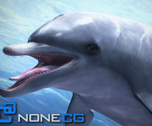 Animated Bottlenose Dolphin