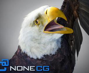 Animated Bald Eagle