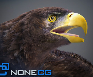 Animated Golden Eagle
