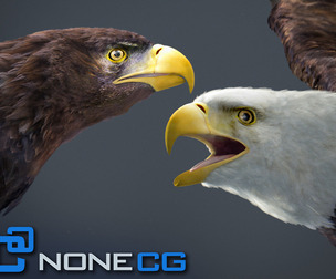 Animated Eagles