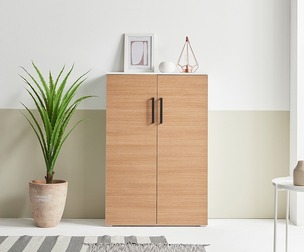 narrow apartment entrance shoe cabinet