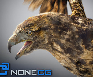 Animated Hawk