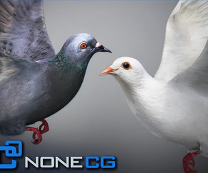 Animated Doves