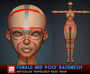Female Mid Poly Base mesh