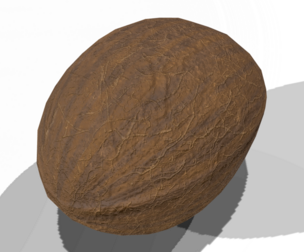Coconut