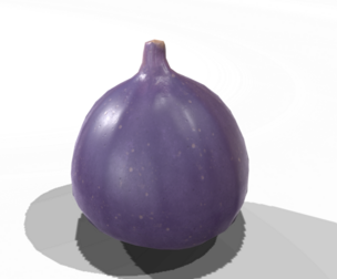Fig
