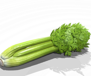 Celery