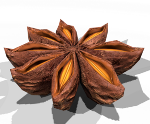 AniseStar