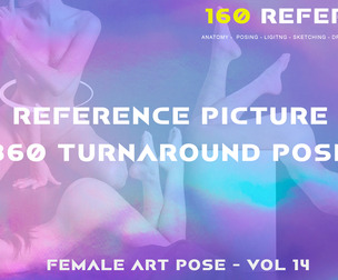 Female Art Pose - Vol 14 - Reference Pictures