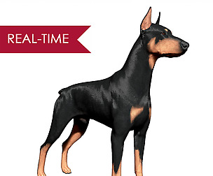 Doberman Real-Time