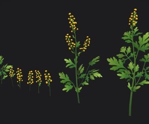 Wormwood stylized plant Low-poly 3D model