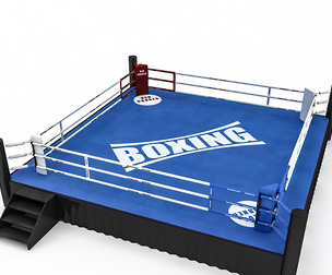 Boxing Area 3D Model 2 Low-poly 3D model