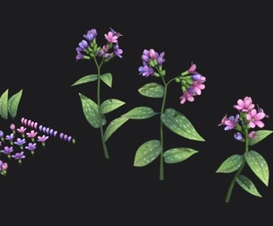 Lungwort stylized plant