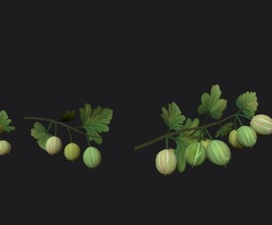 Gooseberry sprig stylized plant