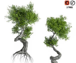 Stylized_Tree
