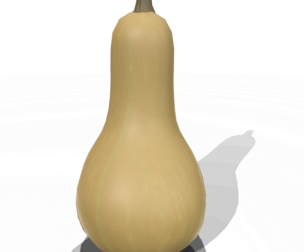 Squash Butternut