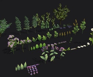 Pack Stylized handpainted plants and sprigs