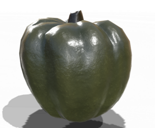 Squash Acorn