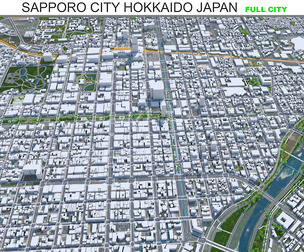 Sapporo City  Hokkaido Japan 3D Model 120 km