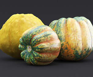 Decorative Pumpkins