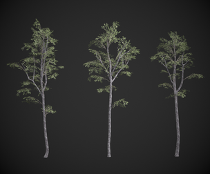 Lowpoly Birch Trees