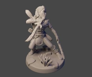 Male elf ranger - level 20 dual swords