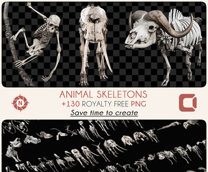 Animals Skeletons - PNG Photo Pack