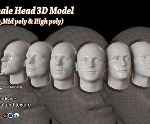 25 Male Head 3D Model Basemesh
