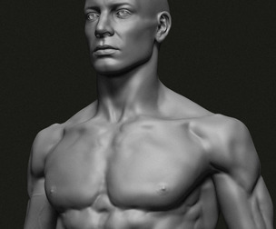 Male anatomy study 3D print model