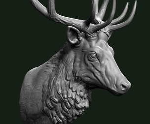 Stag head 3D print model