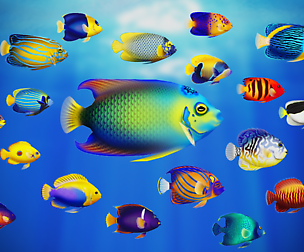 SeaFish Mega Pack