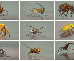 9 Insect Master Collection