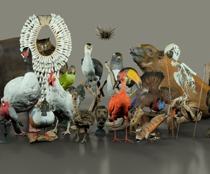 26 Museum Animals