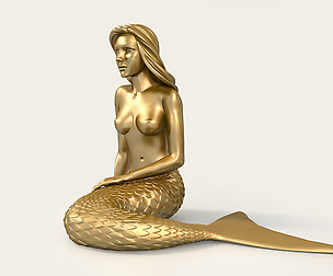 Thinking Mermaid