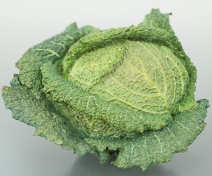 Savoy Cabbage