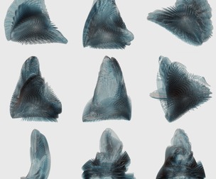 9 Abstract Sea Creatures