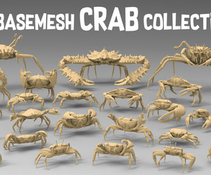 25 Basemesh crab collection