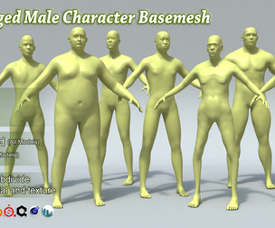 15 Rigged Male Character Basemesh