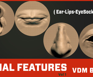 49 Facial Features VDM Brush Vol 1