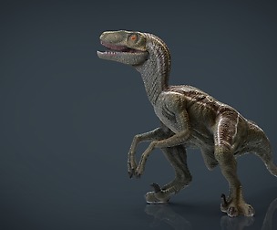 Velociraptor