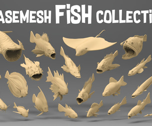 25 Basemesh fish collection 2