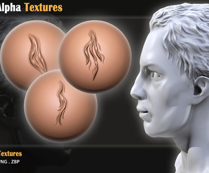 20 Hair Alpha Textures +Brushes